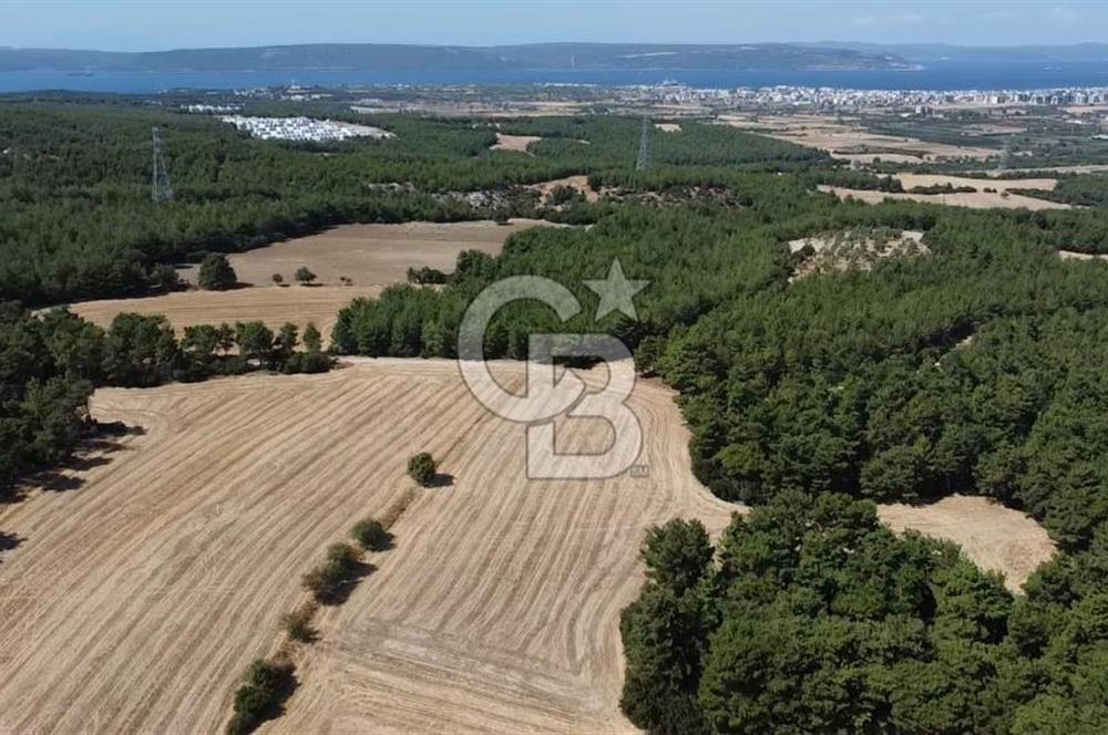 ÇANAKKALE MERKEZ ÇINARLI DA YOLU OLAN 13.000 M2 SATILIK TARLA