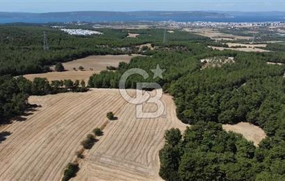 ÇANAKKALE MERKEZ ÇINARLI DA YOLU OLAN 13.000 M2 SATILIK TARLA