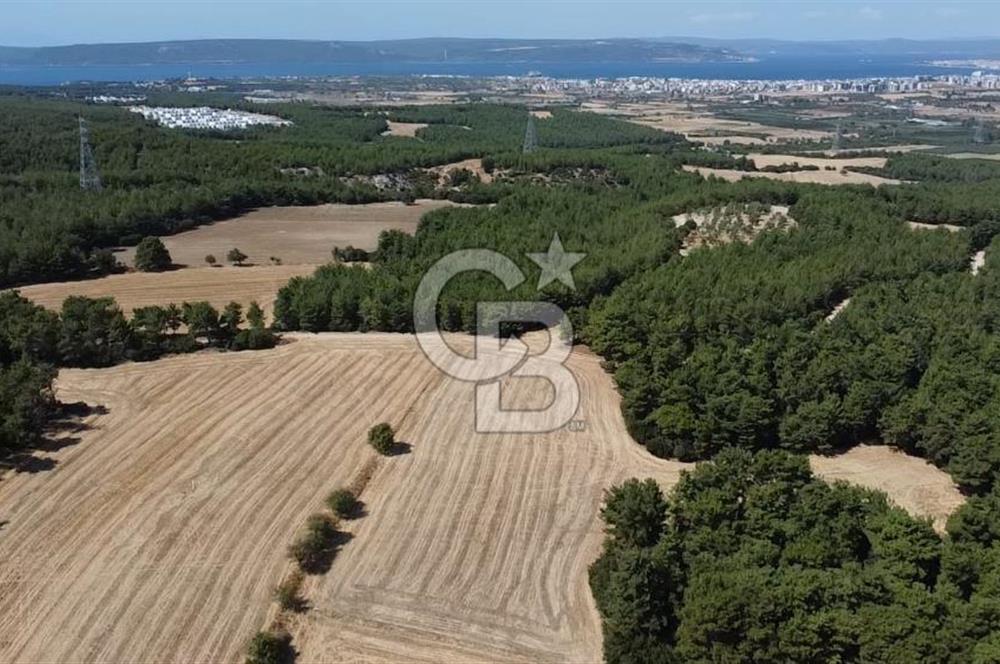 ÇANAKKALE MERKEZ ÇINARLI DA YOLU OLAN 13.000 M2 SATILIK TARLA