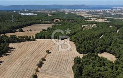 ÇANAKKALE MERKEZ ÇINARLI DA YOLU OLAN 13.000 M2 SATILIK TARLA