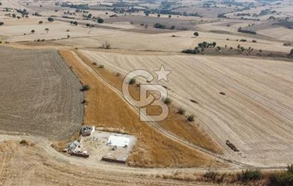 ÇANAKKALE ÖZBEK BURSA YOLUNDA EŞSİZ DOĞA MANZARALI SATILIK TARLA