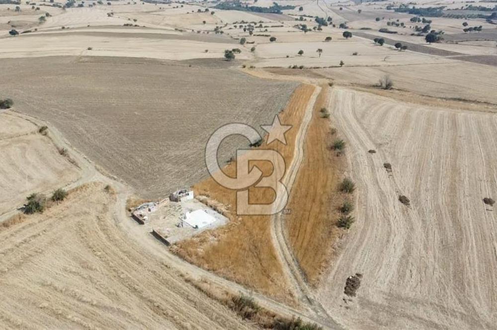 ÇANAKKALE MERKEZ ÖZBEK KÖYÜ'N DE SATILIK MUHTEŞEM TARLA FIRSATI