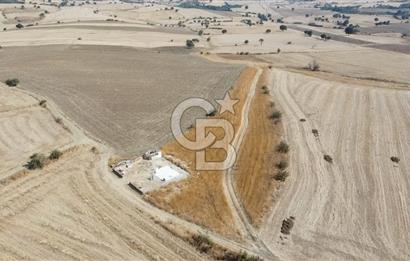 ÇANAKKALE MERKEZ ÖZBEK KÖYÜ'N DE SATILIK MUHTEŞEM TARLA FIRSATI