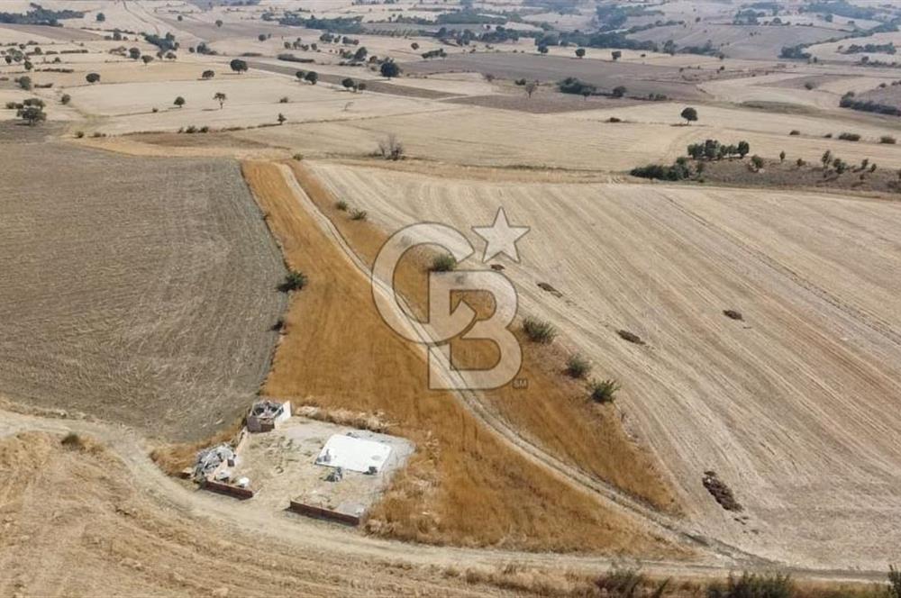 ÇANAKKALE MERKEZ ÖZBEK KÖYÜ'N DE SATILIK MUHTEŞEM TARLA FIRSATI