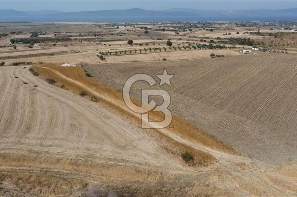 ÇANAKKALE MERKEZ ÖZBEK KÖYÜ'N DE SATILIK MUHTEŞEM TARLA FIRSATI