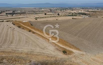 ÇANAKKALE MERKEZ ÖZBEK KÖYÜ'N DE SATILIK MUHTEŞEM TARLA FIRSATI