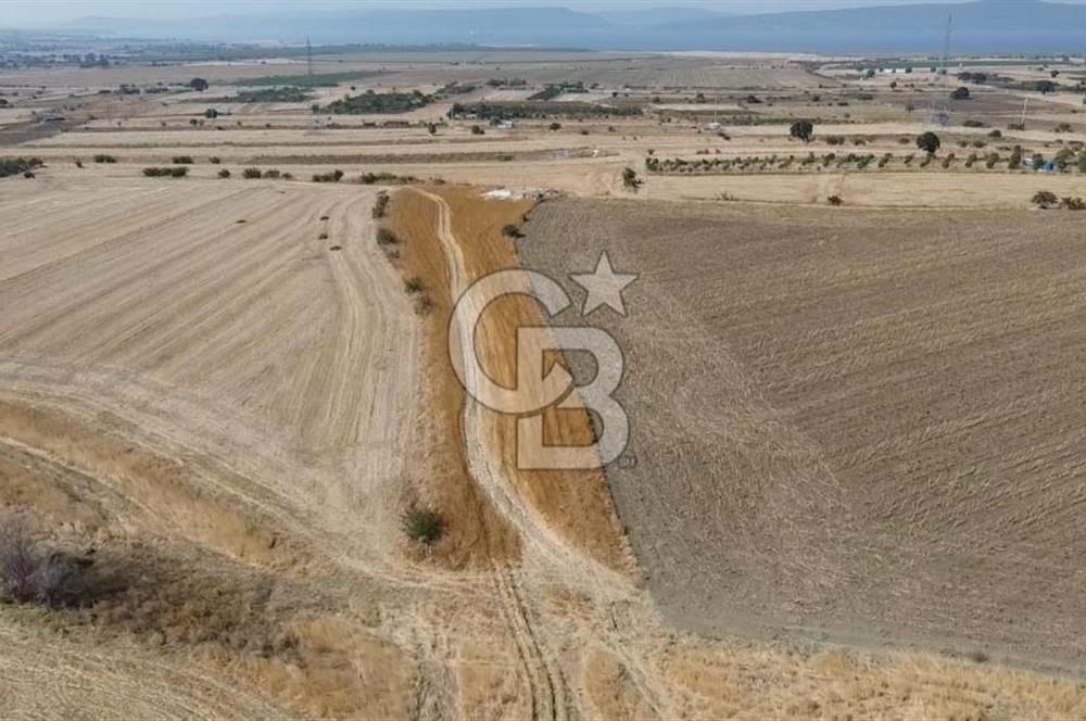 ÇANAKKALE MERKEZ ÖZBEK KÖYÜ'N DE SATILIK MUHTEŞEM TARLA FIRSATI