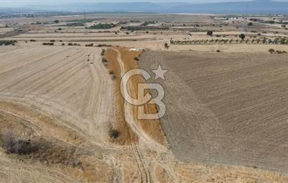 ÇANAKKALE MERKEZ ÖZBEK KÖYÜ'N DE SATILIK MUHTEŞEM TARLA FIRSATI