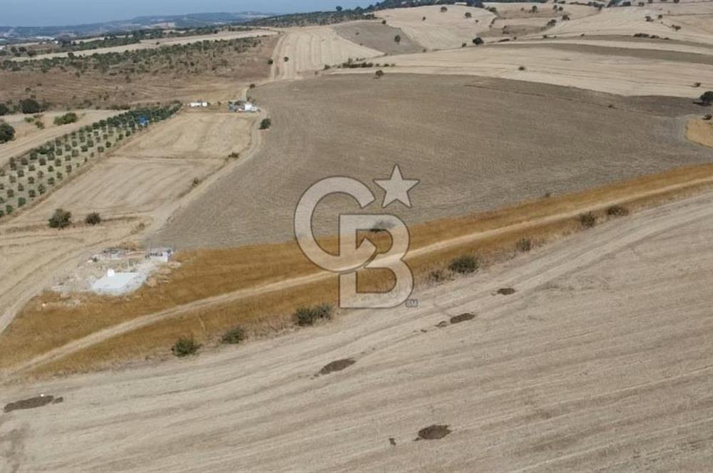 ÇANAKKALE ÖZBEK BURSA YOLUNDA EŞSİZ DOĞA MANZARALI SATILIK TARLA