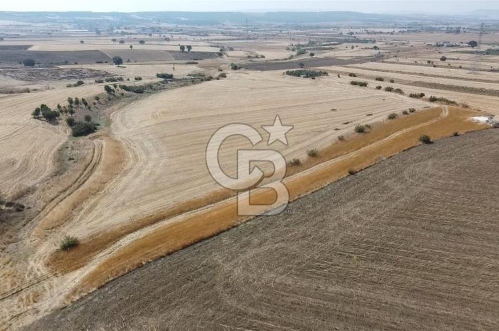 ÇANAKKALE MERKEZ ÖZBEK KÖYÜ'N DE SATILIK MUHTEŞEM TARLA FIRSATI