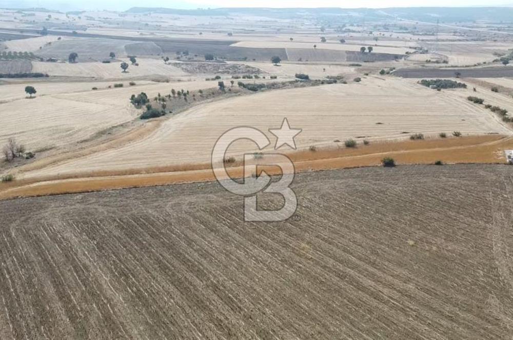 ÇANAKKALE MERKEZ ÖZBEK KÖYÜ'N DE SATILIK MUHTEŞEM TARLA FIRSATI