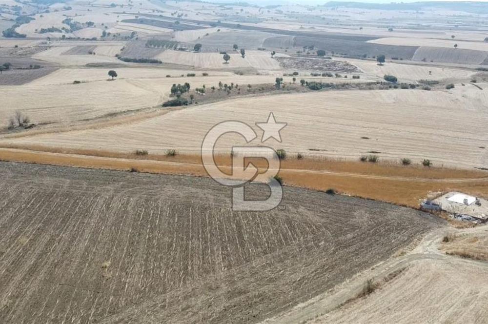 ÇANAKKALE ÖZBEK BURSA YOLUNDA EŞSİZ DOĞA MANZARALI SATILIK TARLA