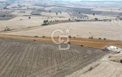 ÇANAKKALE ÖZBEK BURSA YOLUNDA EŞSİZ DOĞA MANZARALI SATILIK TARLA