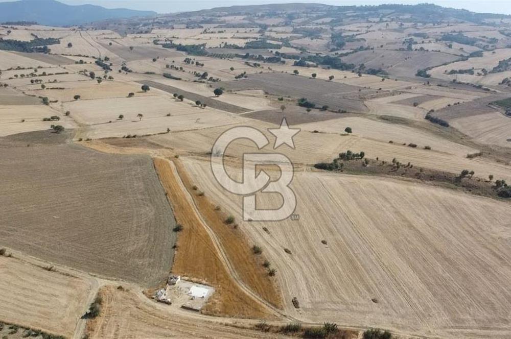 ÇANAKKALE MERKEZ ÖZBEK KÖYÜ'N DE SATILIK MUHTEŞEM TARLA FIRSATI