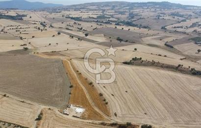 ÇANAKKALE MERKEZ ÖZBEK KÖYÜ'N DE SATILIK MUHTEŞEM TARLA FIRSATI