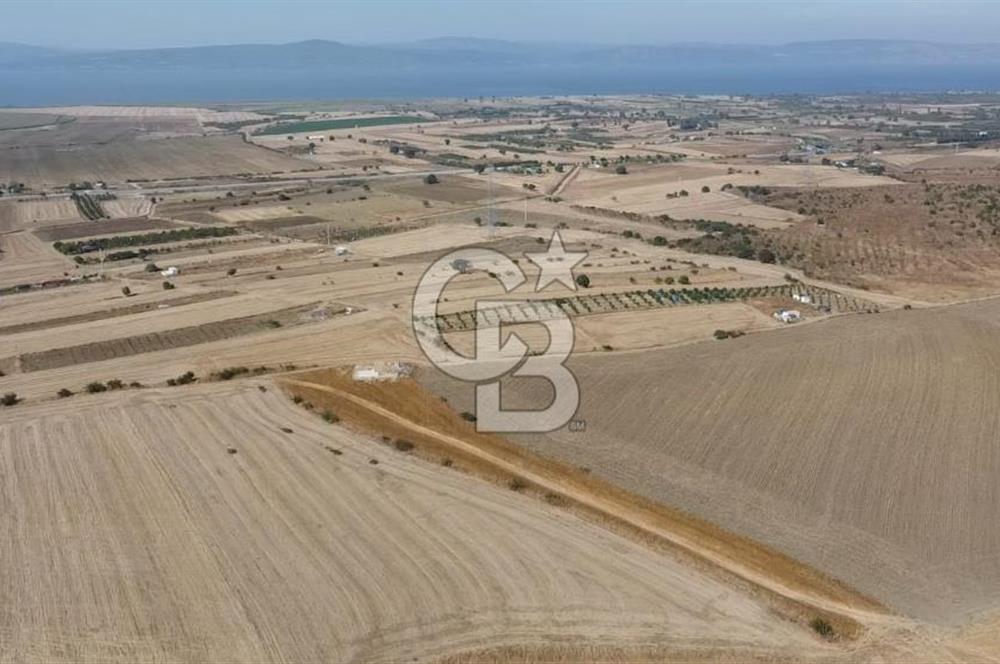 ÇANAKKALE ÖZBEK BURSA YOLUNDA EŞSİZ DOĞA MANZARALI SATILIK TARLA