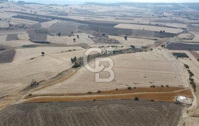 ÇANAKKALE MERKEZ ÖZBEK KÖYÜ'N DE SATILIK MUHTEŞEM TARLA FIRSATI