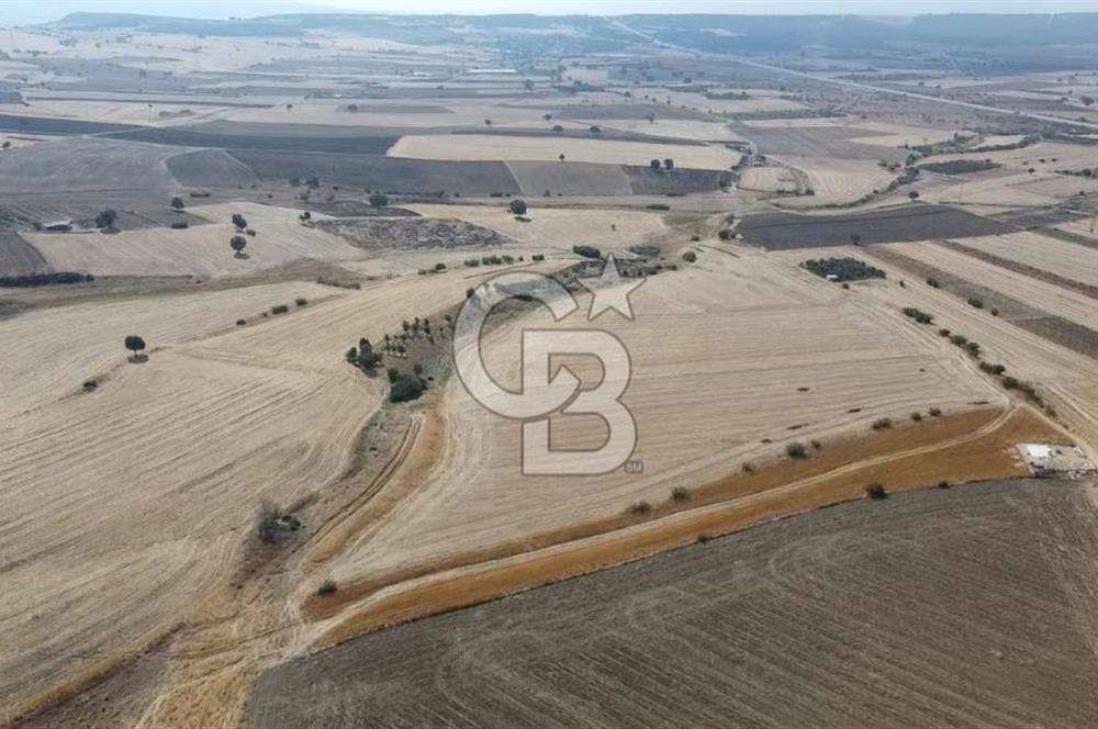 ÇANAKKALE MERKEZ ÖZBEK KÖYÜ'N DE SATILIK MUHTEŞEM TARLA FIRSATI