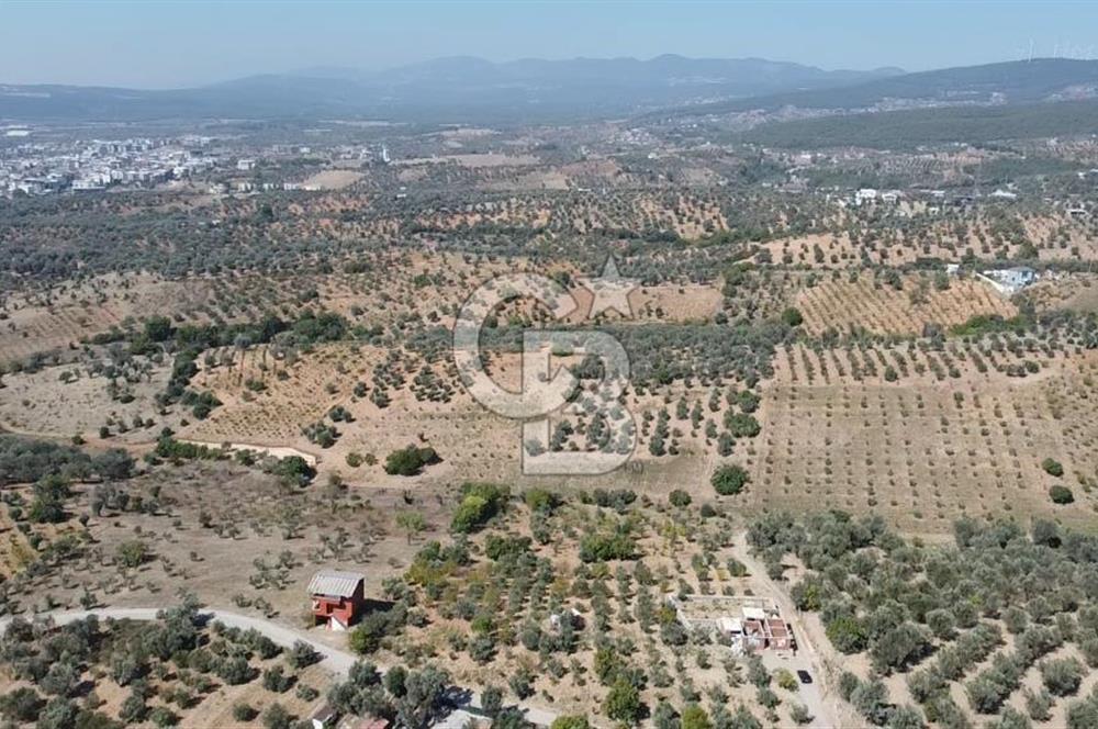 KEMALPAŞA ULUCAK İSTİKLAL TEK TAPU SATILIK ARAZİ