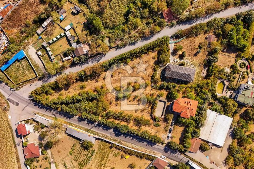 ARNAVUTKÖY YEŞİLBAYIR’DA 8150 M2 SATILIK ARSA