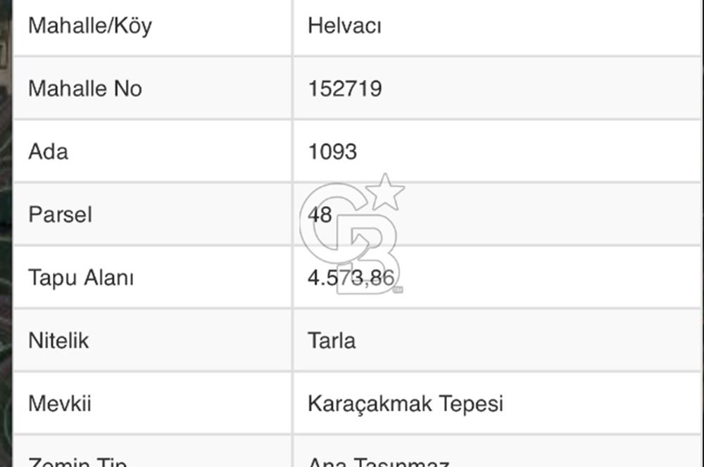 Aliağa Helvacı Mahallesinde 4573 m2 SATILIK Tarla