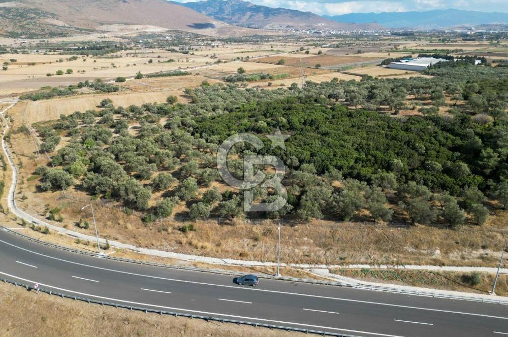 Aliağa Helvacı Mahallesinde 4573 m2 SATILIK Tarla