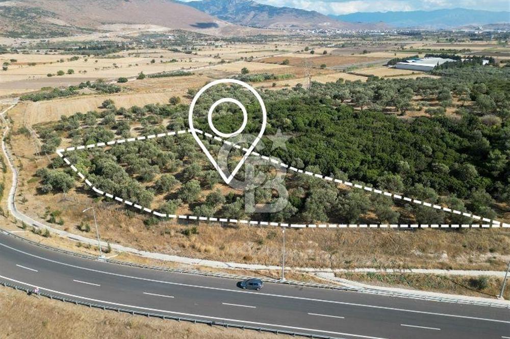 Aliağa Helvacı Mahallesinde 4573 m2 SATILIK Tarla