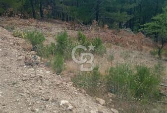 Muğla Meke'de satılık 1416 m2 satılık tarla 