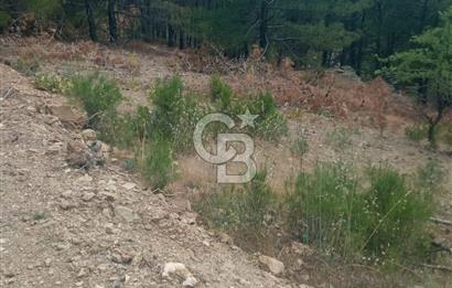 Muğla Meke'de satılık 1416 m2 satılık tarla 