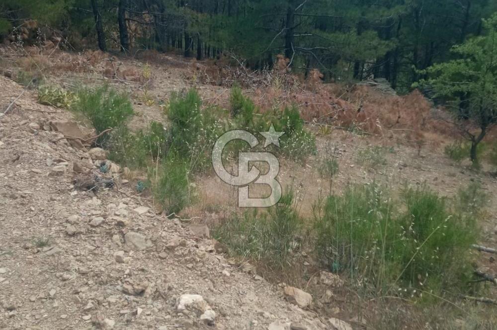 Muğla Meke'de satılık 1416 m2 satılık tarla 