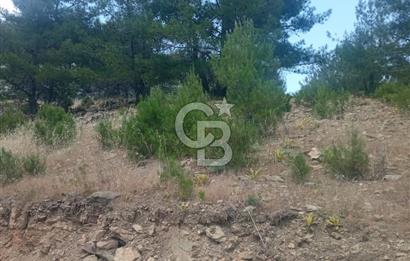 Muğla Meke'de satılık 1416 m2 satılık tarla 