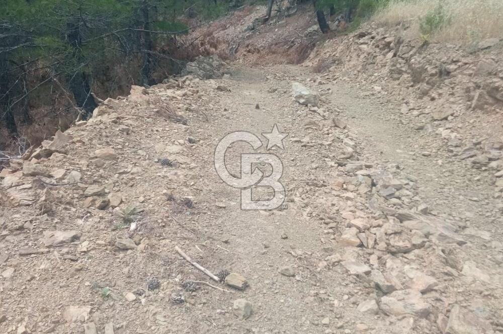 Muğla Meke'de satılık 1416 m2 satılık tarla 