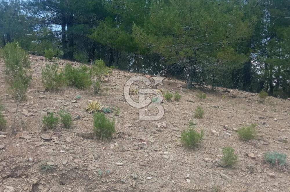 Muğla Meke'de satılık 1416 m2 satılık tarla 