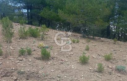 Muğla Meke'de satılık 1416 m2 satılık tarla 