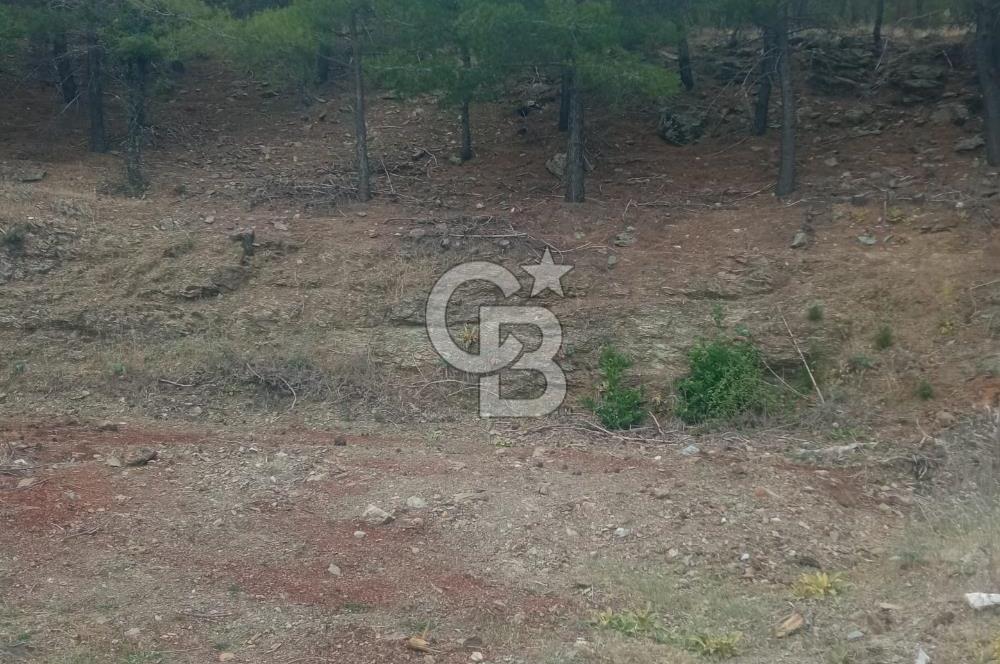 Muğla Meke'de satılık 1416 m2 satılık tarla 