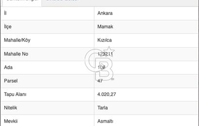 ANKARA MAMAK'TA TARLA