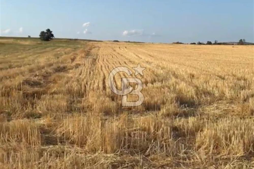 Edirne Süloğlu Keramettin ‘de Satılık Tarla