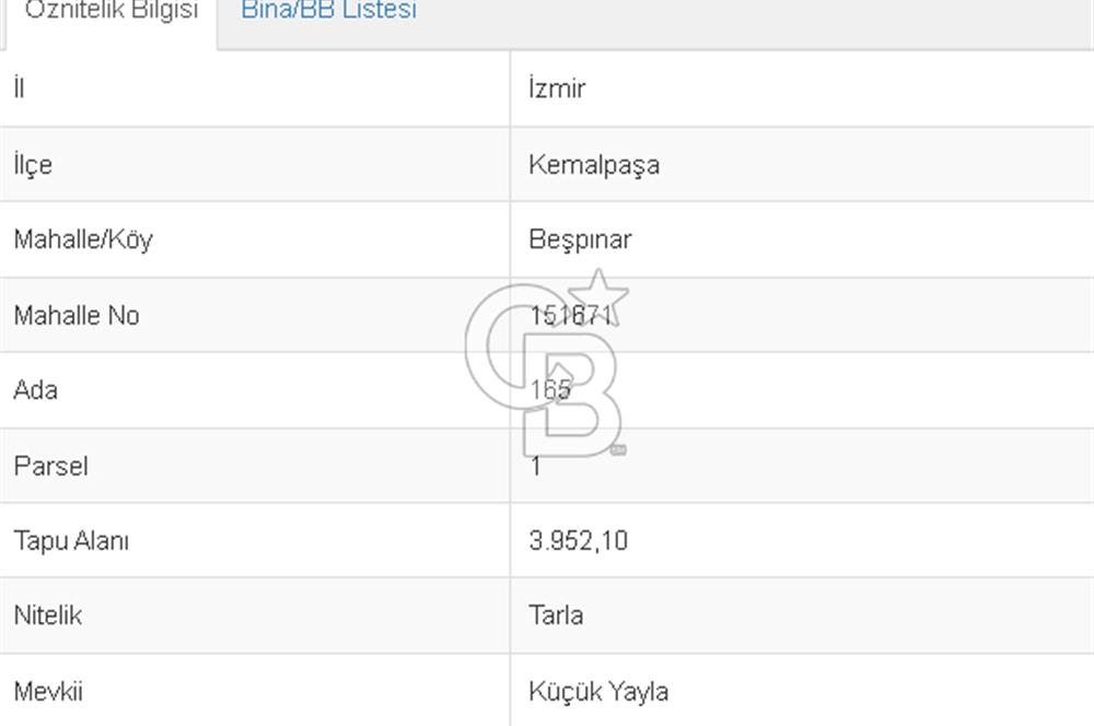 Kemalpaşa Beşpınar Köyü 3952 m2 Satılık Tarla