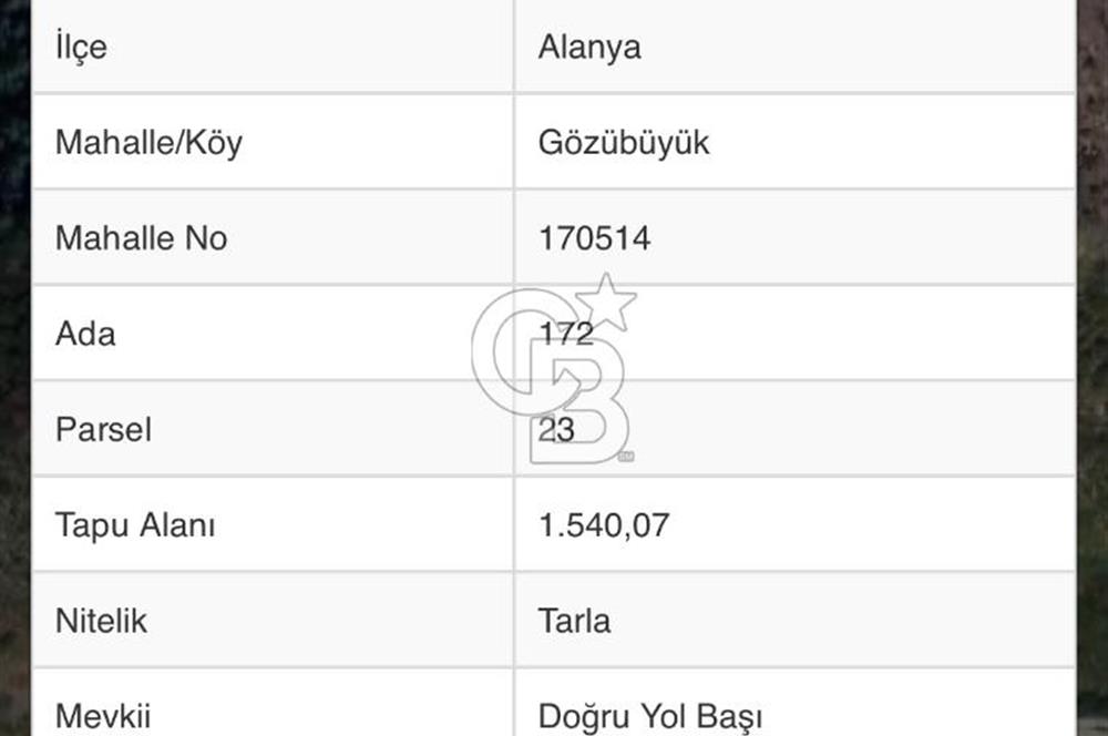 Alanya Gözübüyük Tek Tapu Köşe Parsel Satılık Tarla