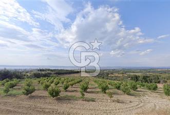 Çanakkale Lapseki deniz manzaralı 2 adet bitişik parsel