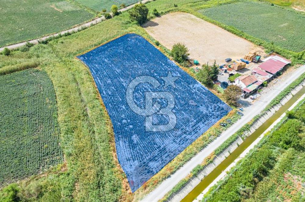 Söke Güllübahçede Kadastro Yoluna Cepheli Satılık Tarla