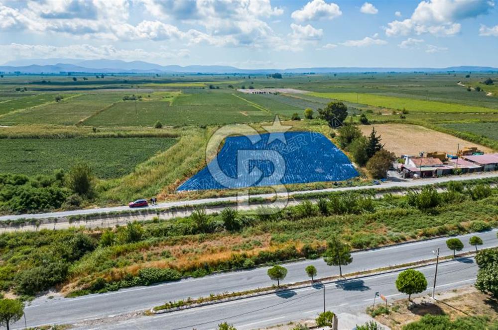 Söke Güllübahçede Kadastro Yoluna Cepheli Satılık Tarla