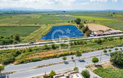 Söke Güllübahçede Kadastro Yoluna Cepheli Satılık Tarla