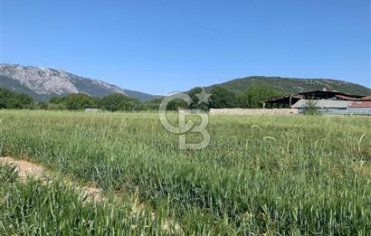 Muğla Menteşe Karabağlar yaylası Satılık Tarla