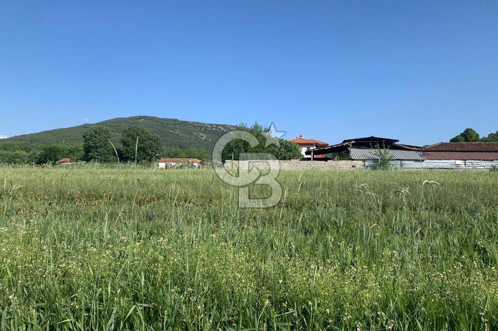 Muğla Menteşe Karabağlar yaylası Satılık Tarla