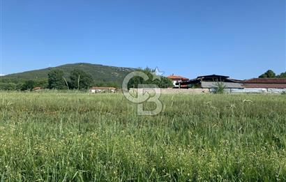 Muğla Menteşe Karabağlar yaylası Satılık Tarla