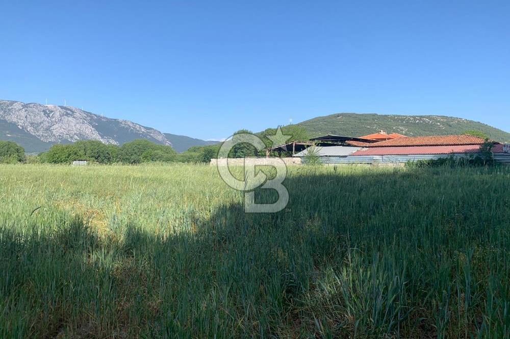 Muğla Menteşe Karabağlar yaylası Satılık Tarla