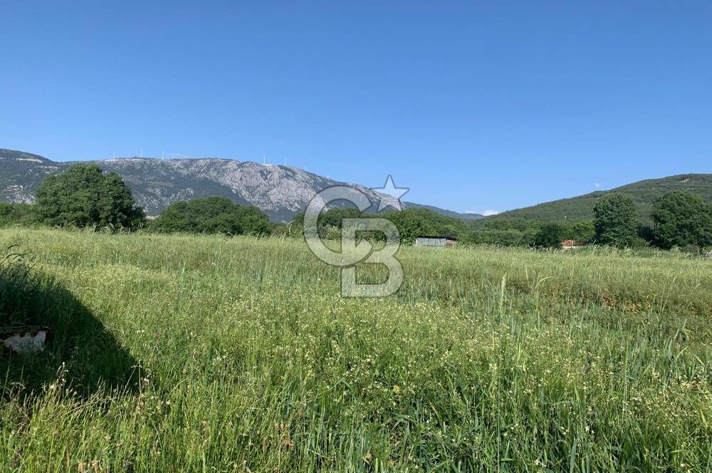 Muğla Menteşe Karabağlar yaylası Satılık Tarla