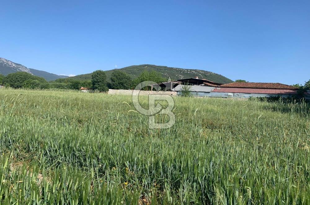 Muğla Menteşe Karabağlar yaylası Satılık Tarla