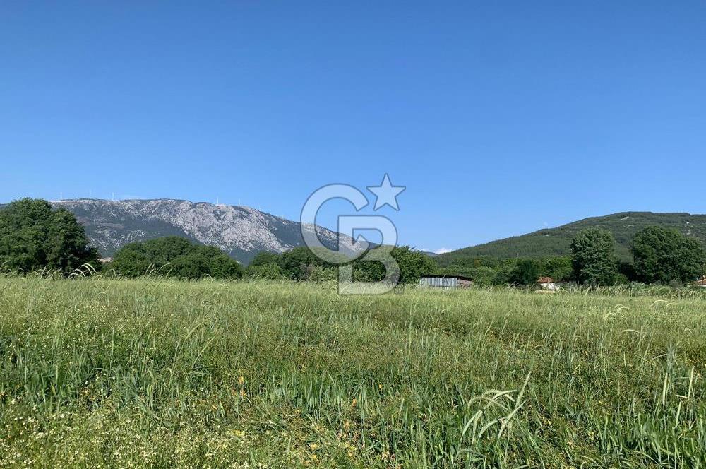 Muğla Menteşe Karabağlar yaylası Satılık Tarla